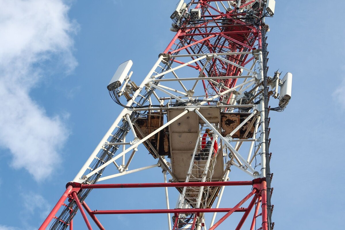     / Источник: © Global Look Press