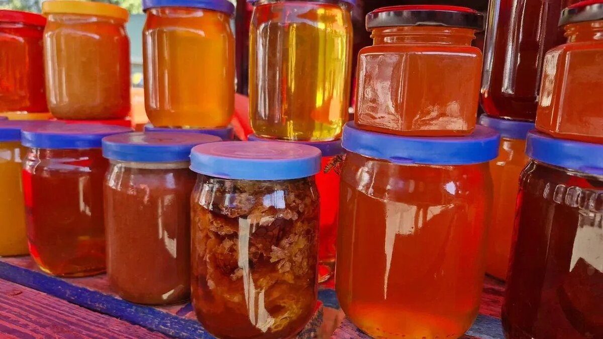 / Фото: REGIONS/Наталья Надточая