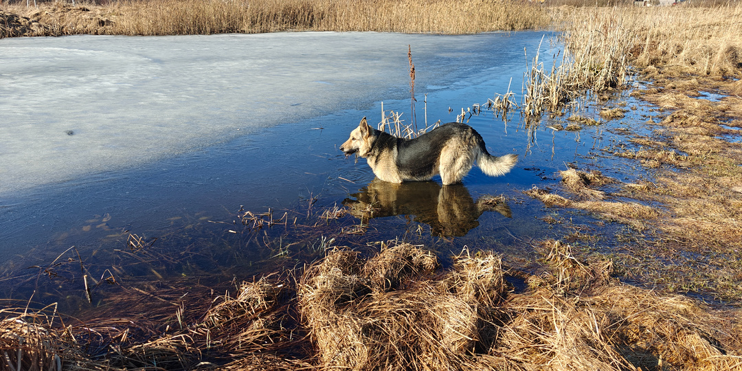 Весенние фотографии, или не знаю, как назвать заметку