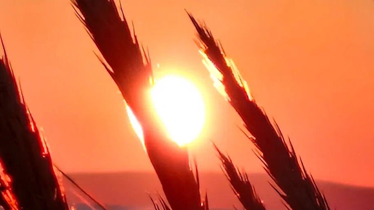 Фото: REGIONS/Наталья Надточая