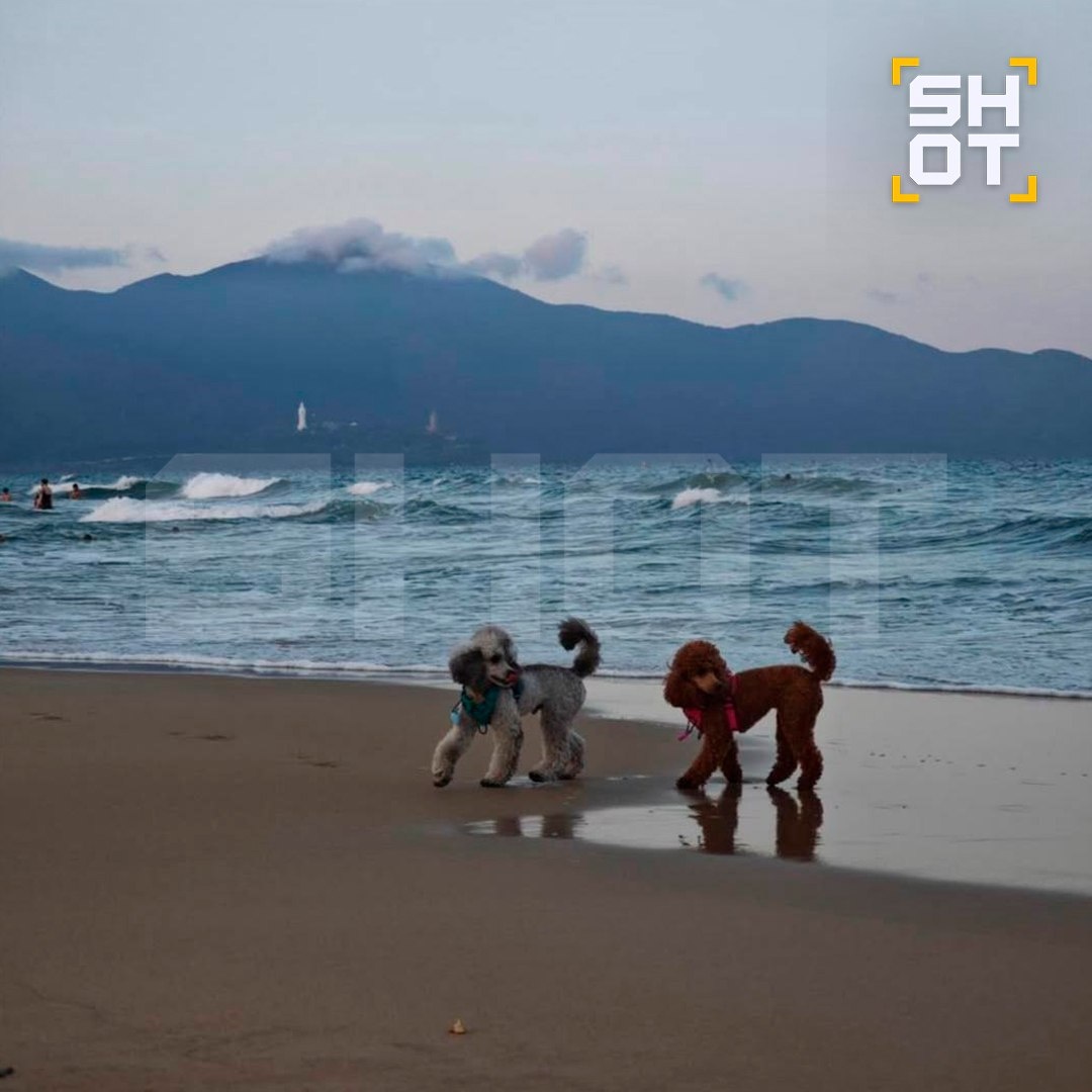 Фото: тг-канал SHOT.