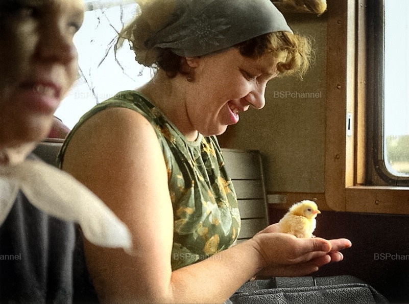 Фотограф: Е. Каширин