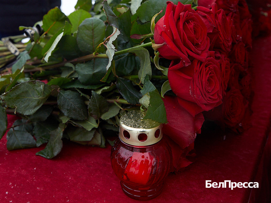     Фото: Елена Журавлёва (архив)