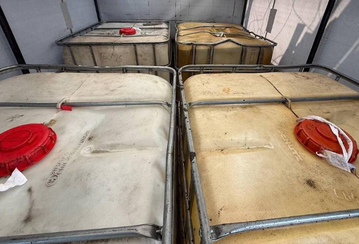 фото: t.me/mvdszfo