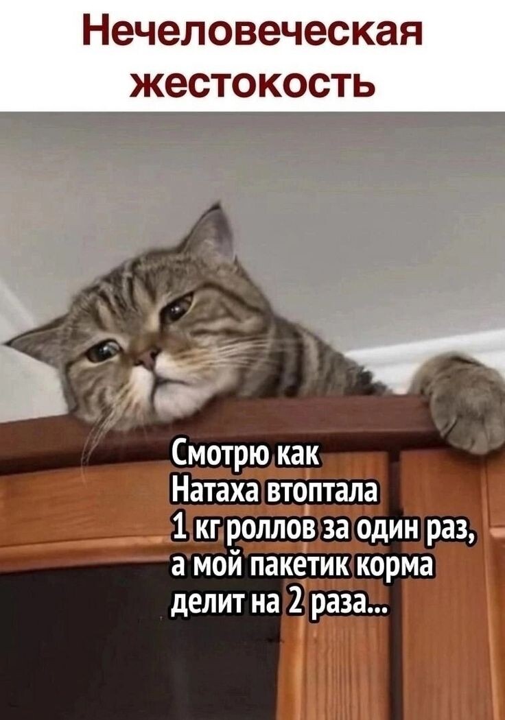 Яндекс картинки 