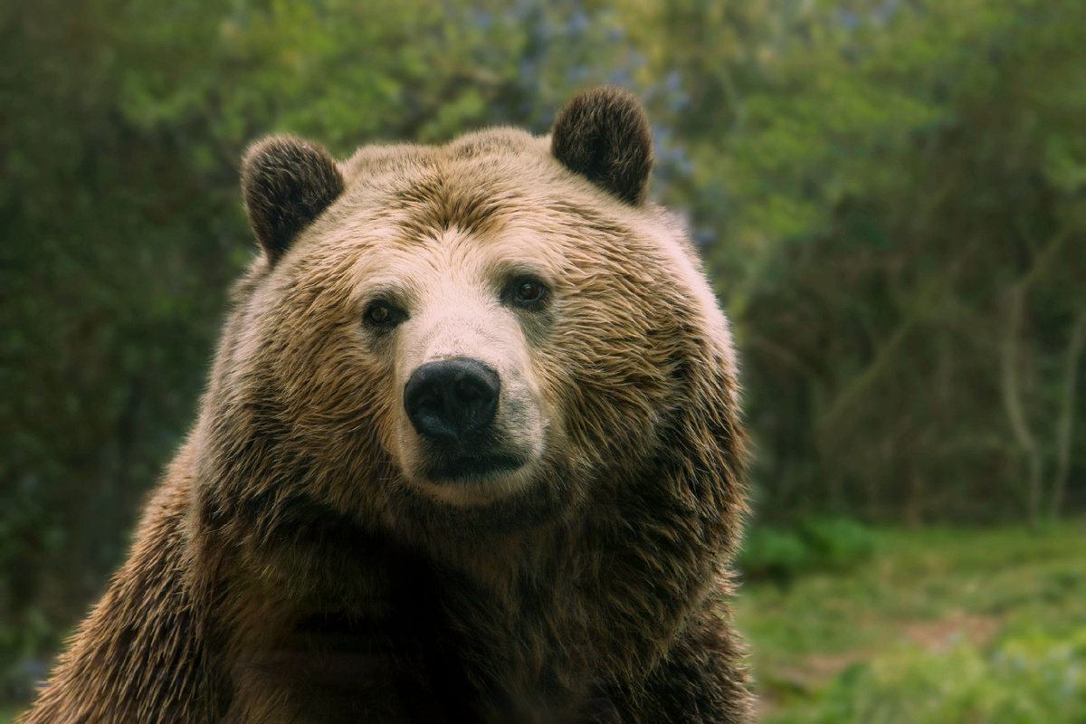 📸 Jessica Weiller / Unsplash