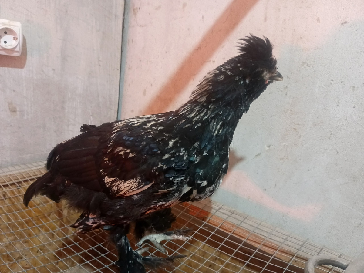 из личного архива