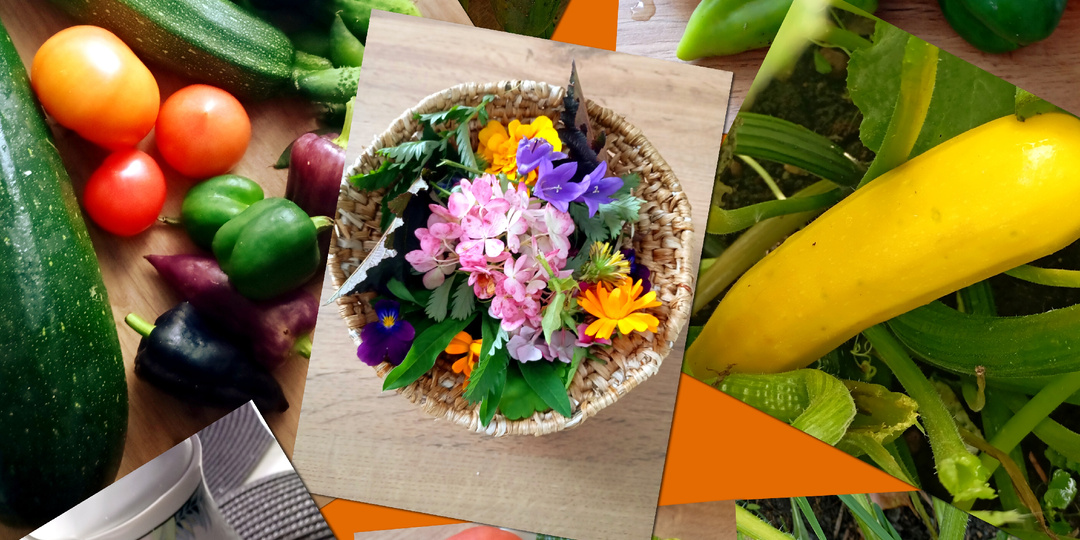 Страсти по саду начались.Многое не умею,но всегда рада тому,что у меня получается.