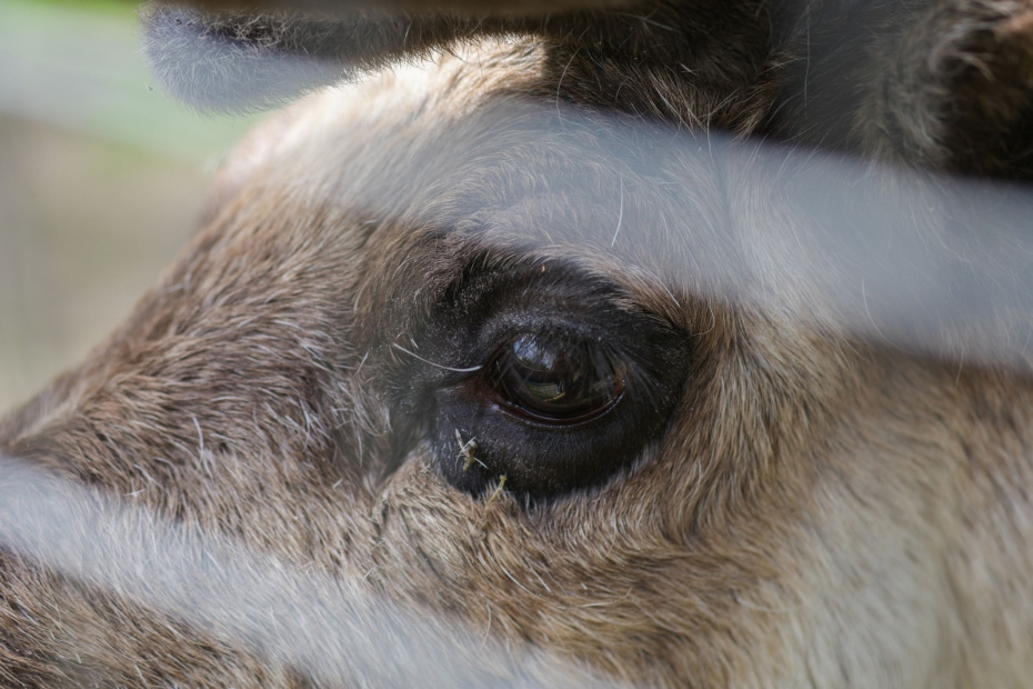    Наталья Шатохина/NEWS.ru