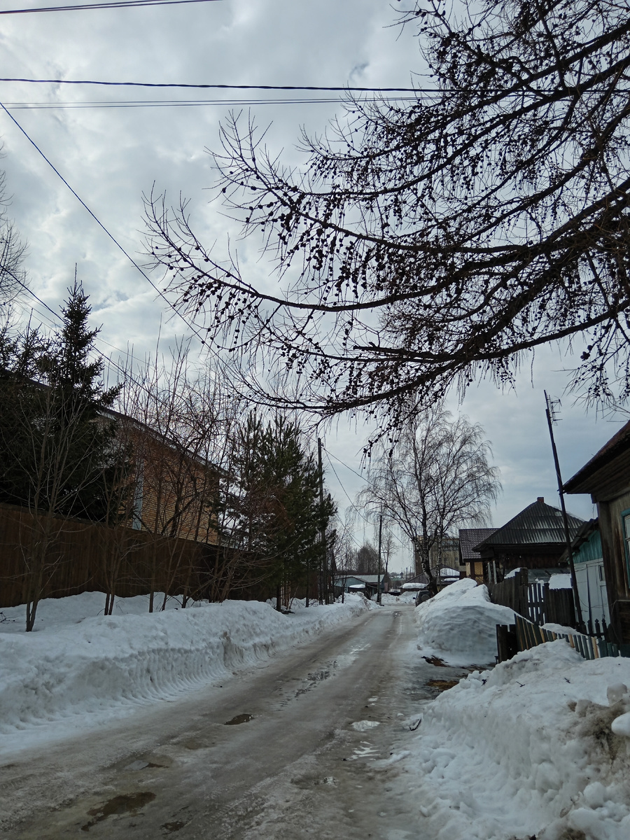 Виды по пути в поликлинику.