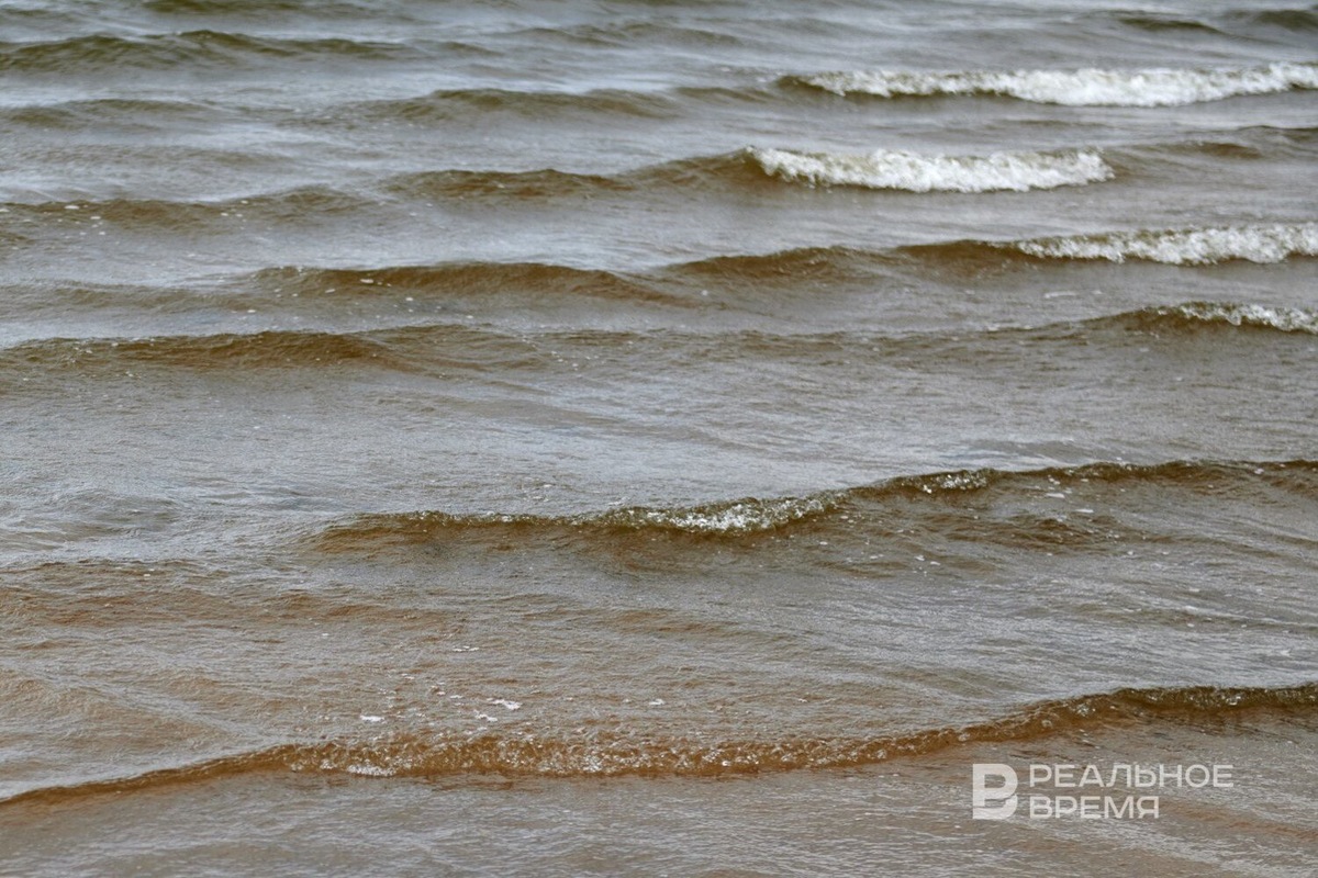   Динар Фатыхов / realnoevremya.ru