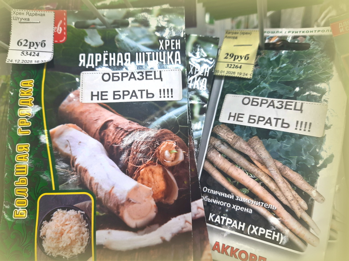 Все фотографии в статье мои