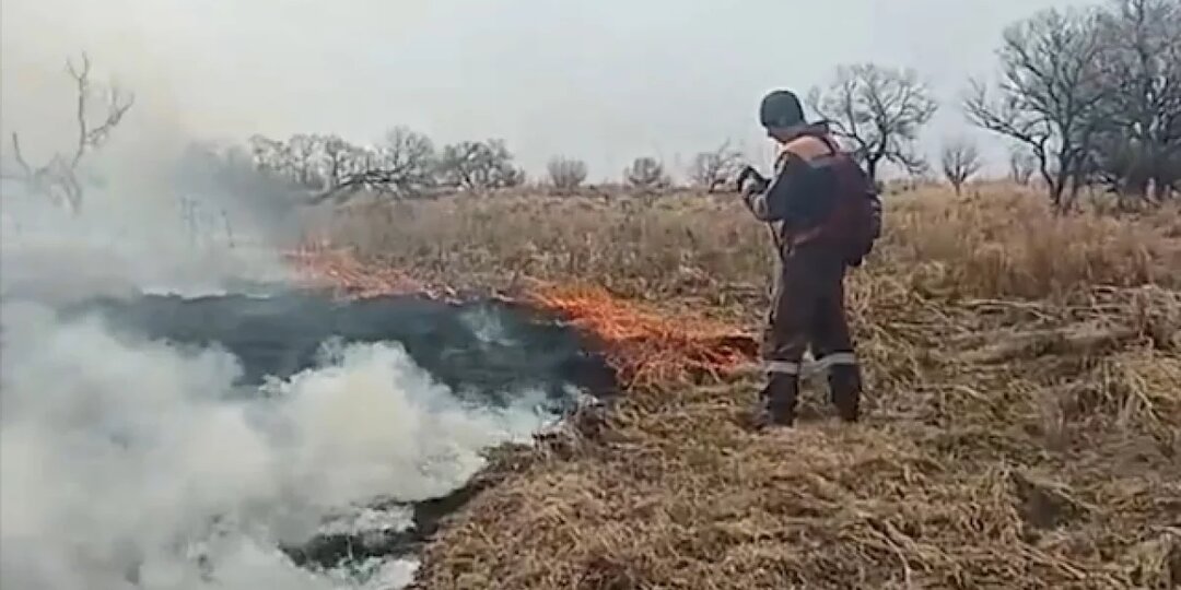 В Калининградской области зафиксированы первые палы травы