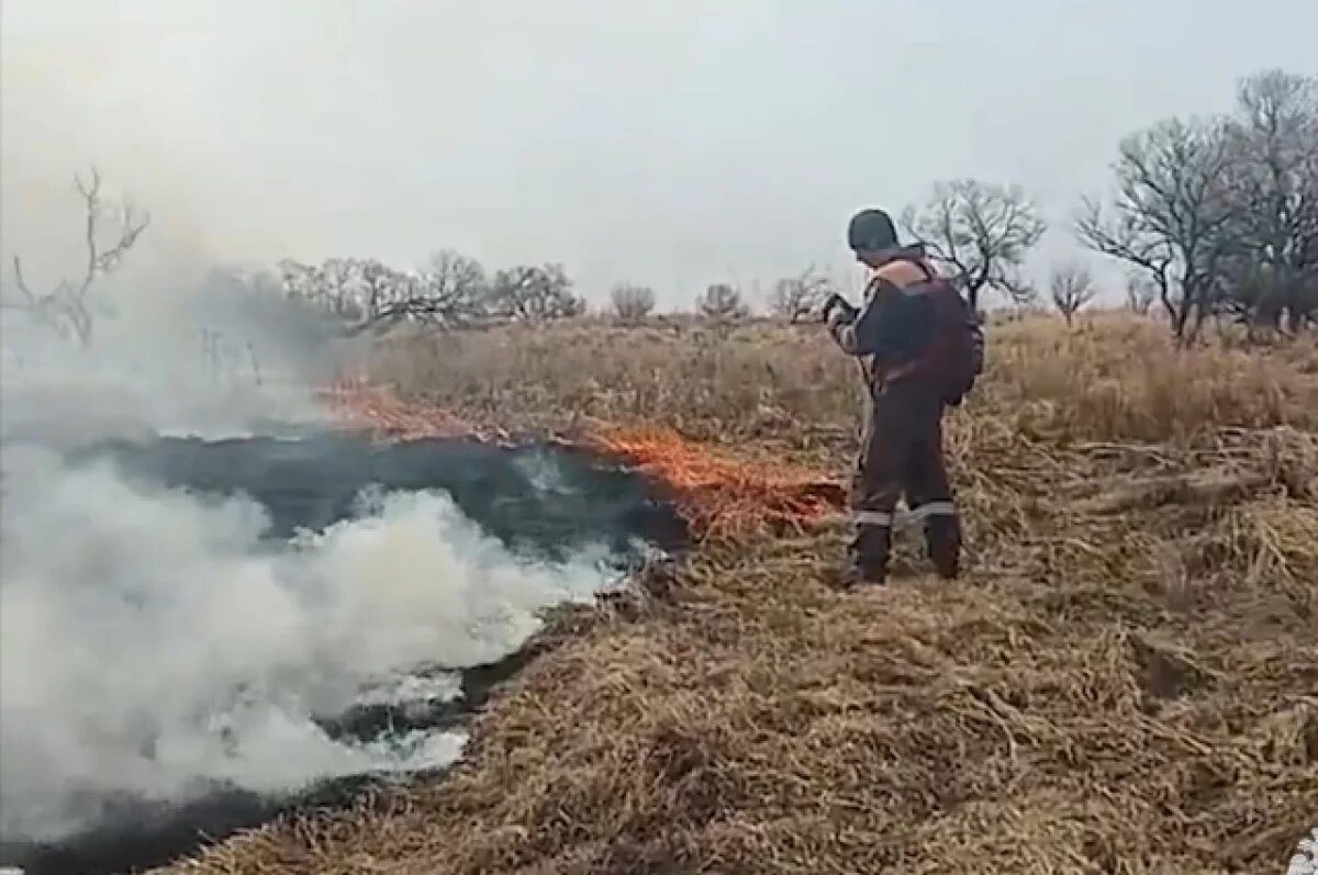    В Калининградской области зафиксированы первые палы травы