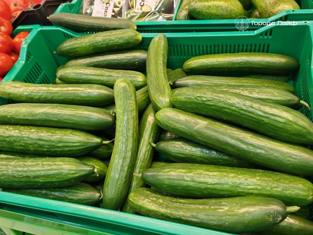    Огурцы резко подешевели в России — что происходит с ценами на продукты