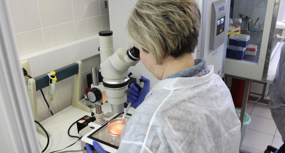    пресс-служба ФИЦ ВИЖ им. Л.К. Эрнста