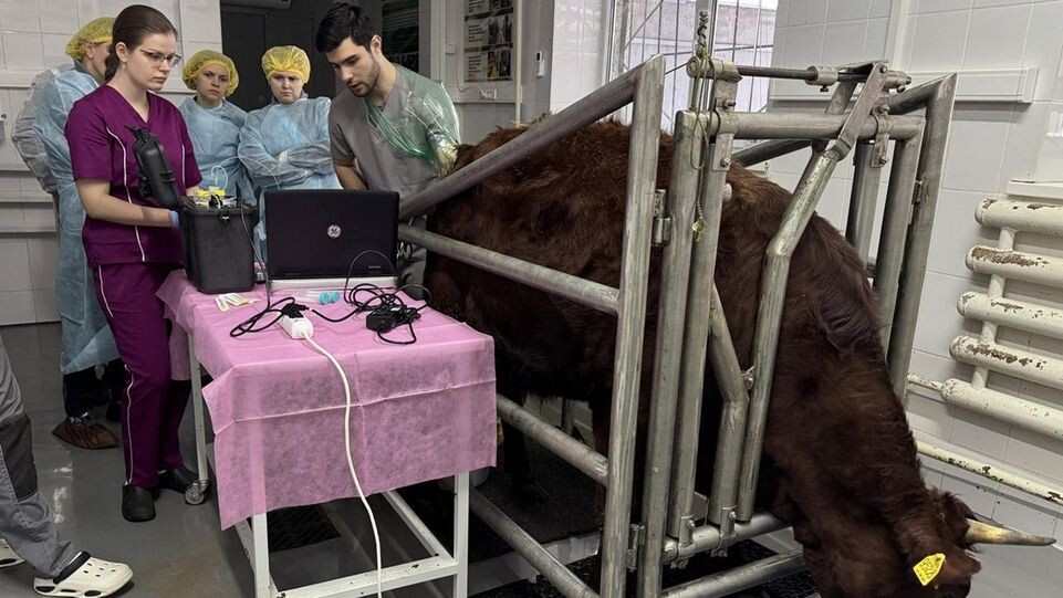    пресс-служба ФИЦ ВИЖ им. Л.К. Эрнста