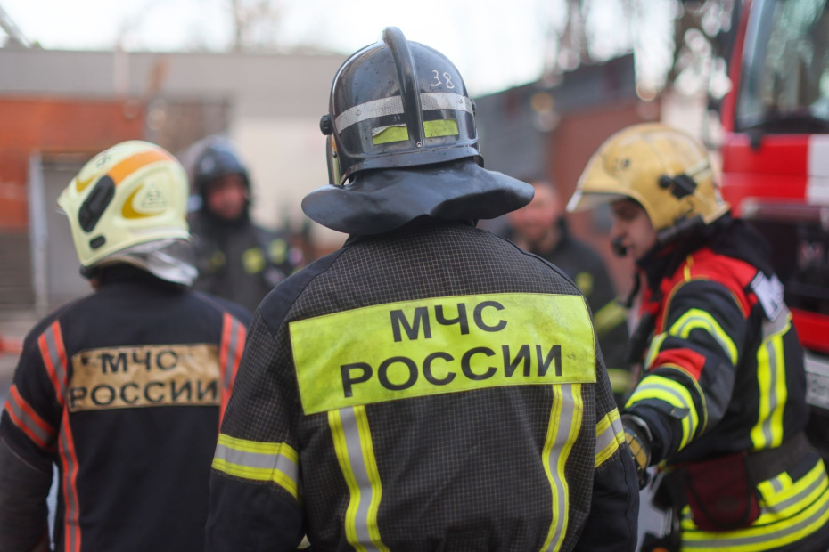    Наталья Шатохина/NEWS.ru