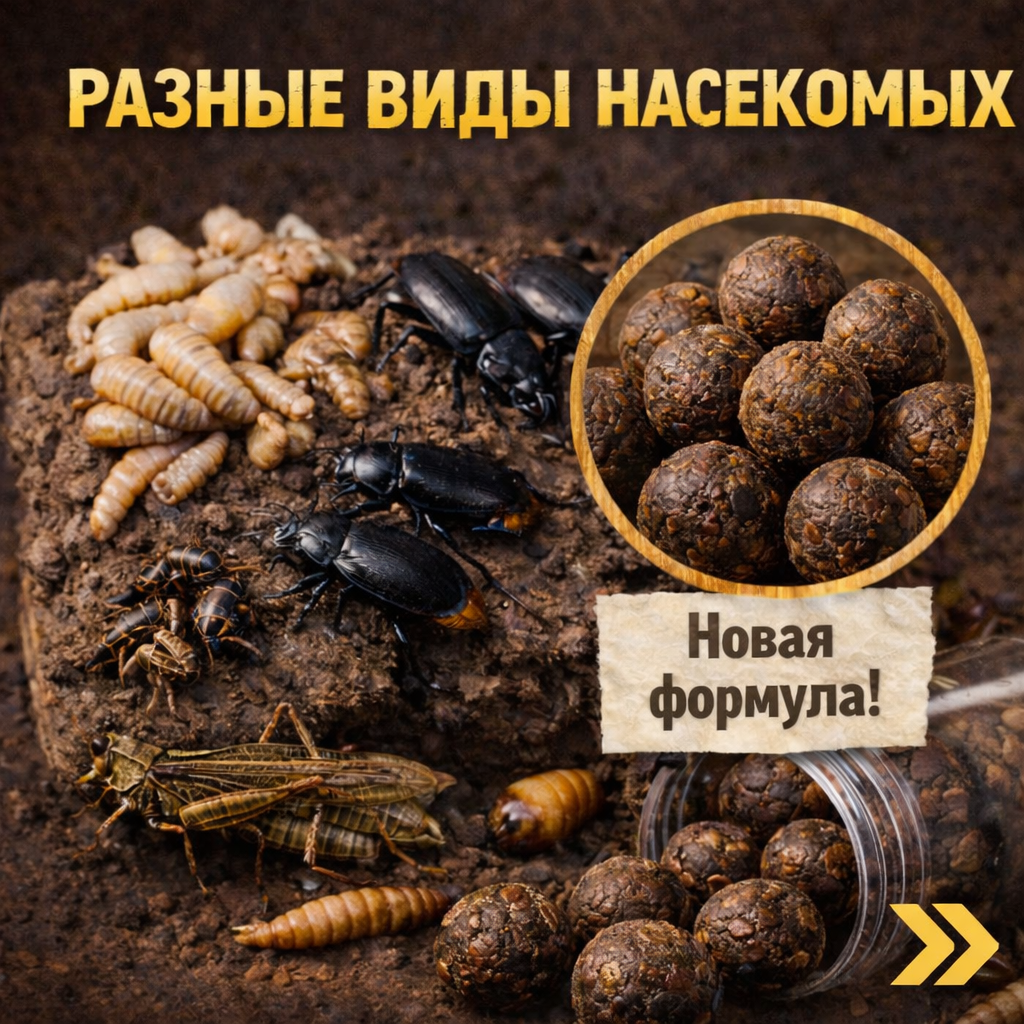 Основу новой приманки составляют такие виды насекомых, как: личинки, сверчки, кузнечики, жуки и другие источники натурального белка (и мы изучаем рынок поставок). Именно такие организмы карп регулярно находит в естественной среде, поэтому мы и решили попробовать сделать ставку на максимально природный состав, который рыба воспринимает как привычную пищу.