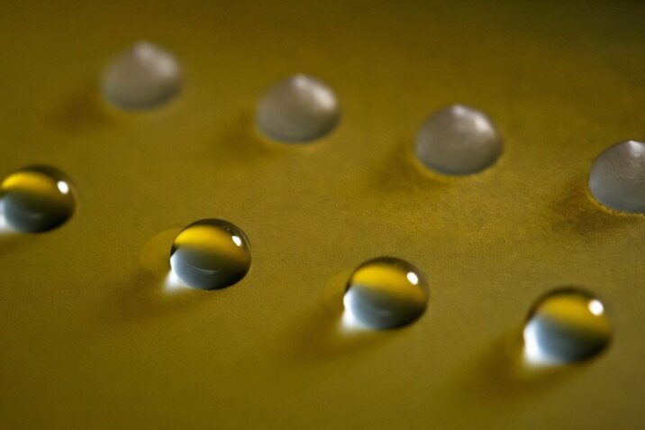     Ученые описали удивительные грибки, способные замораживать воду