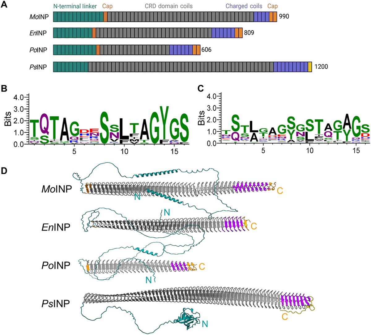    Сравнительный анализ грибковых и бактериальных белков.https://www.science.org/doi/10.1126/sciadv.aed9652