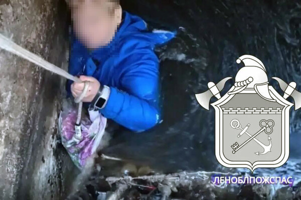 ЛЕНОБЛПОЖСПАС/MAX   📷