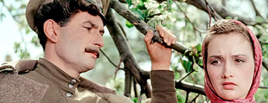 Сколько всего казаков в романе "Тихий Дон"?