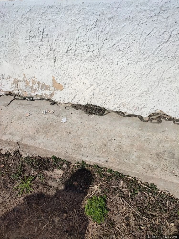 Фото предоставила Нина Статута