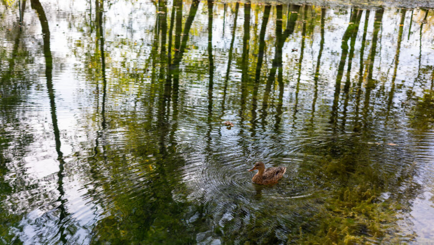    Фото: KazanFirst