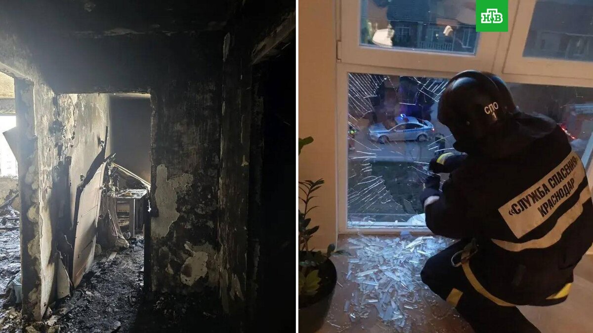    Фото: emnaumov / t.me