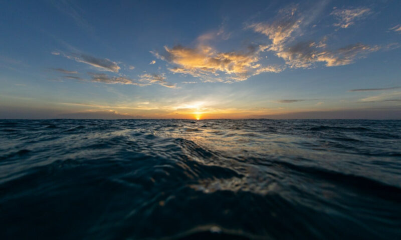    Фото freepik.com