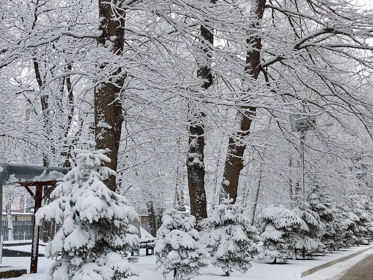 Было вот так красиво с утра .