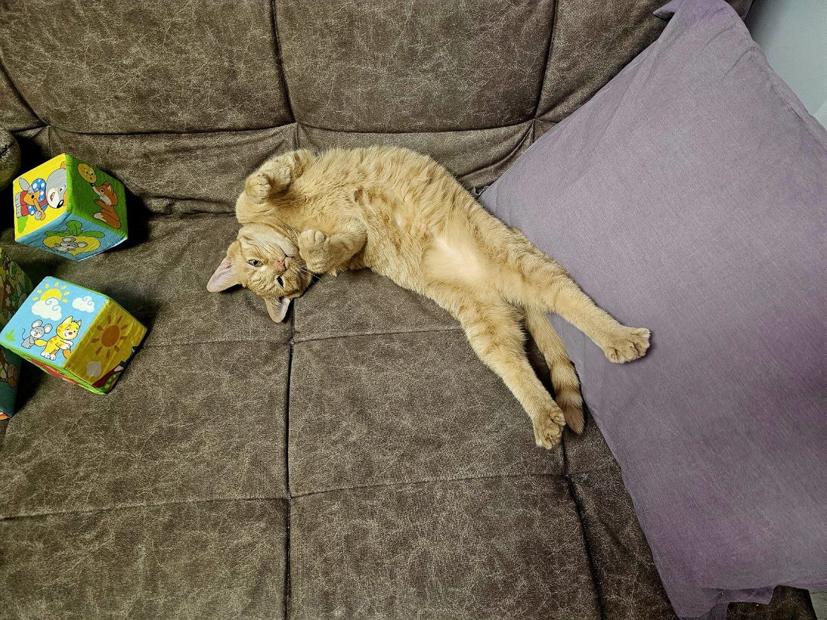 жить нужно в кайф)