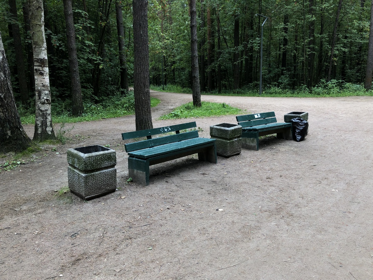    Урны в «Сосновке». Архивное фото: Мойка78.