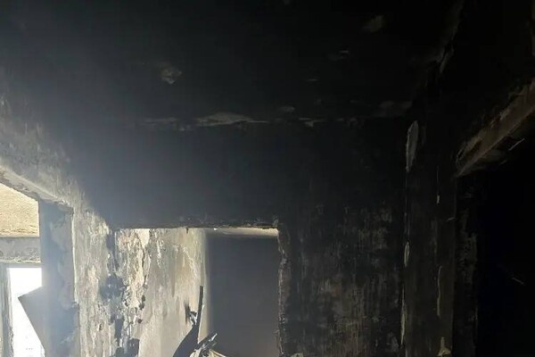 Telegram-канал Евгений Наумов | глава Краснодара  📷