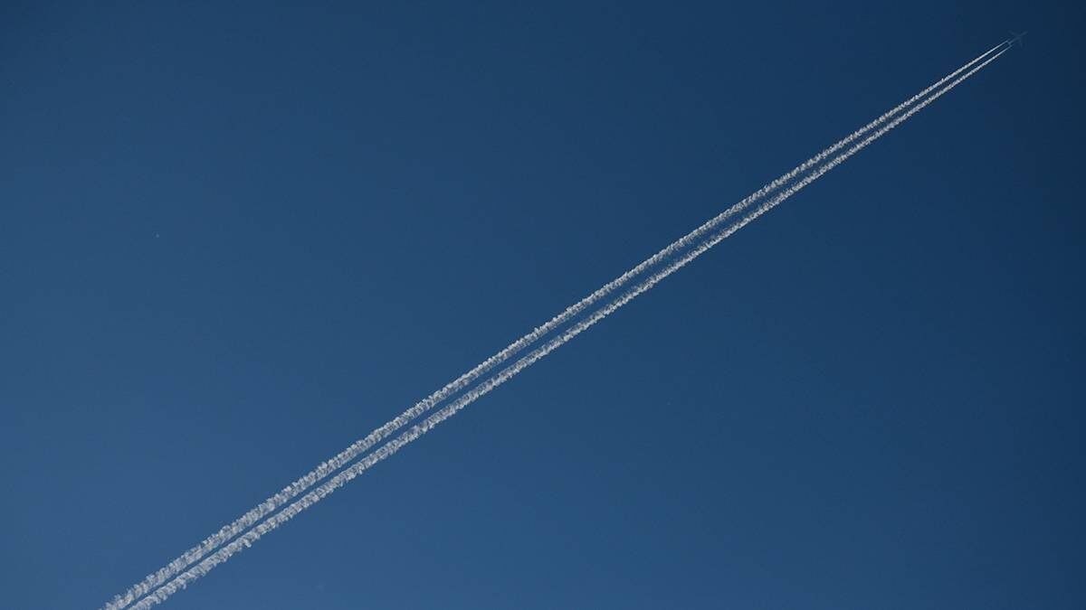    Фото: Игорь Иванко / АГН Москва