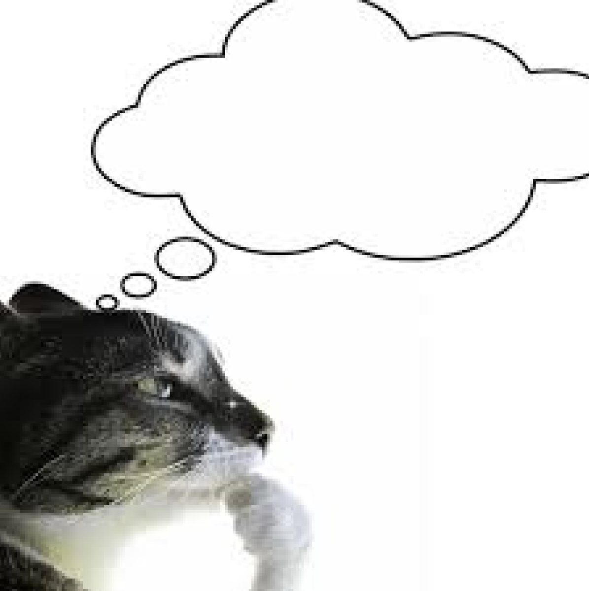 Источник: https://share.google/h3tGywo0VQUwSSBSL