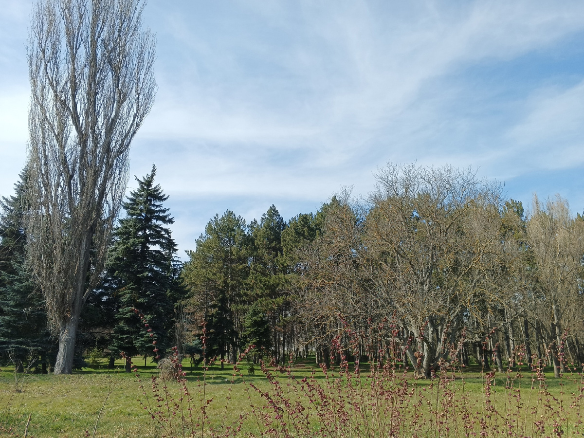 Весна. Фото Галины Малышевой.
