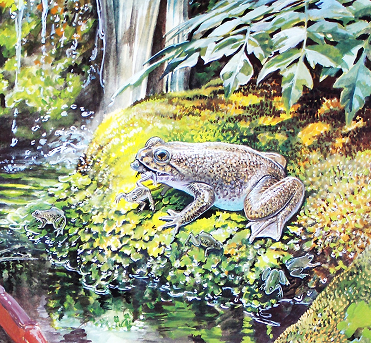 Мама, а как я появлися на свет? Ну... У меня было несварение...