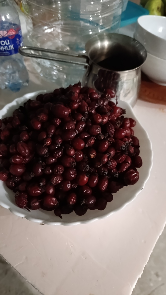 Шиповник собрала на днях.