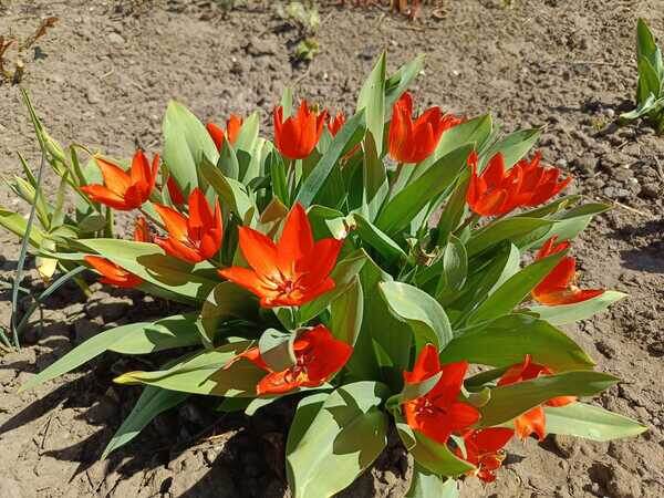    Фото Светланы Журавка Валерия Стальная