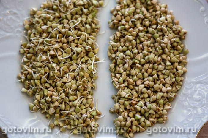 Выбираем гречку: зелёная или коричневая? Действительно ли «суперфуд» оправдывает свою цену