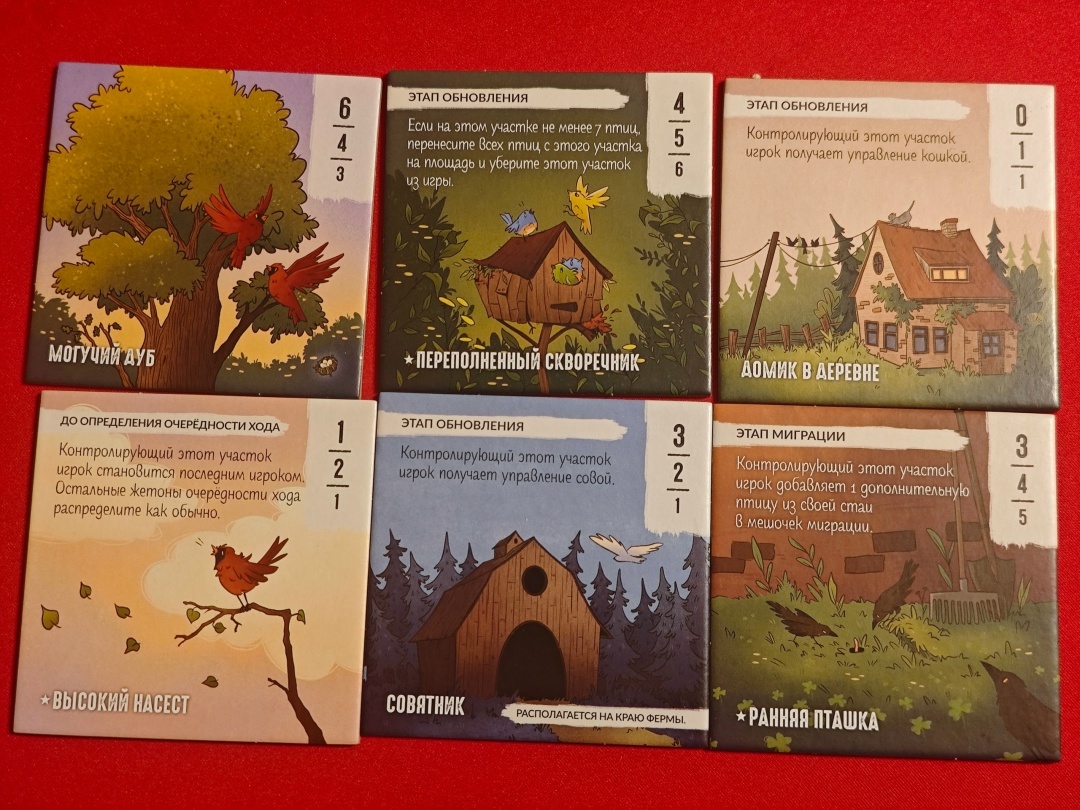 настольные игры настолки лавка игр пернатые обзор