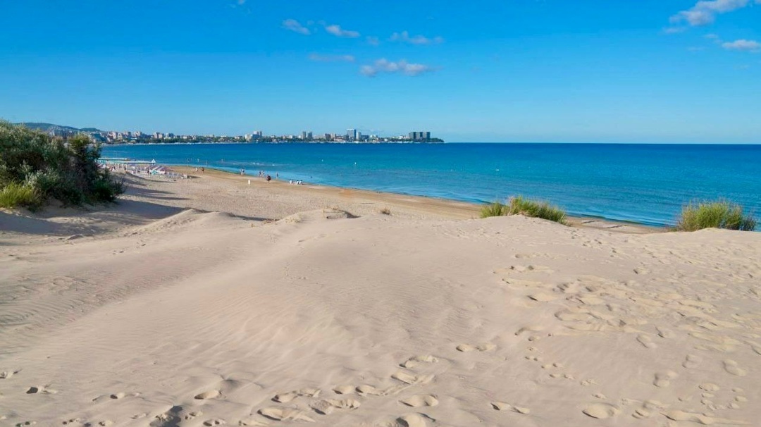 📊Рост бронирований летнего отдыха в Анапе составил 18%