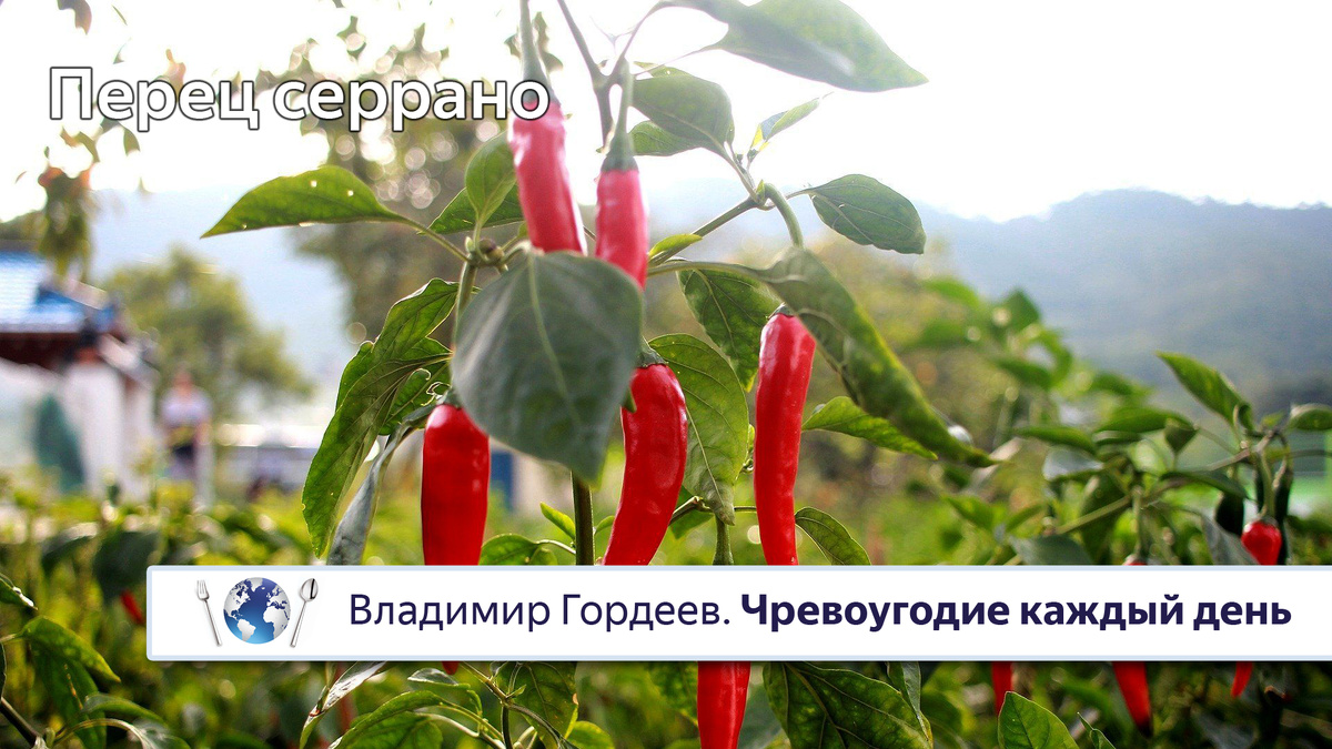 Мексиканский перец серрано