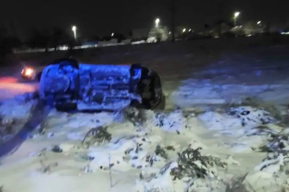    Фото: ГУ МВД России по Волгоградской области