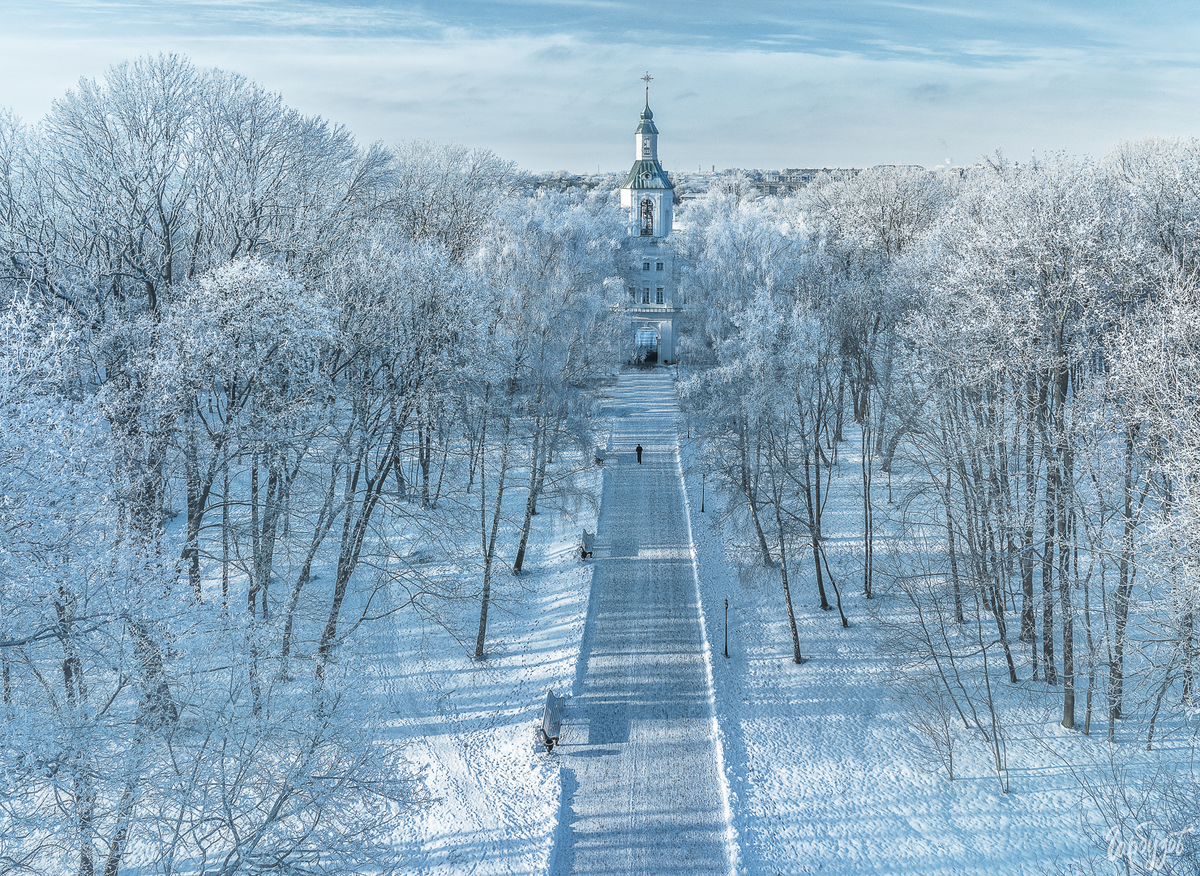 Фотограф Илья Гарбузов запечатлел Богородицкий дворец в морозной бахроме 