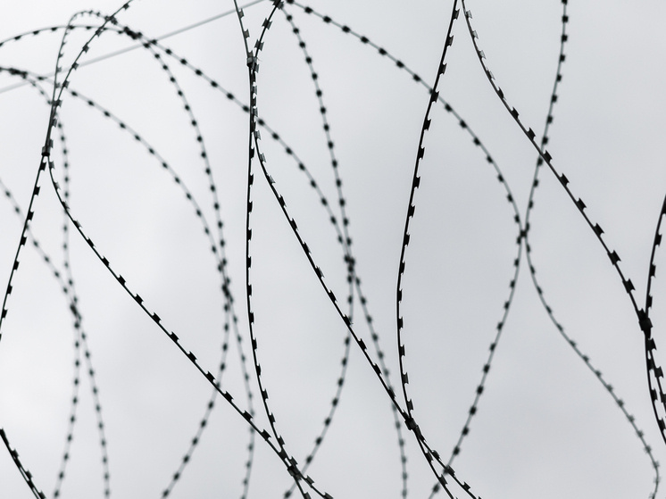     ФОТО: © Sergey Elagin/Business Online/Global Look Press