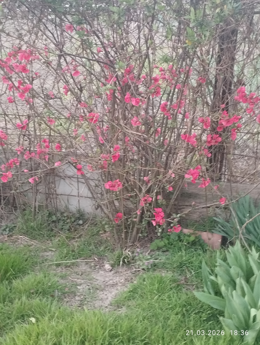 Фото автора. 