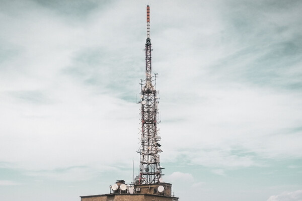 Adela Teodora/Shutterstock/FOTODOM   📷